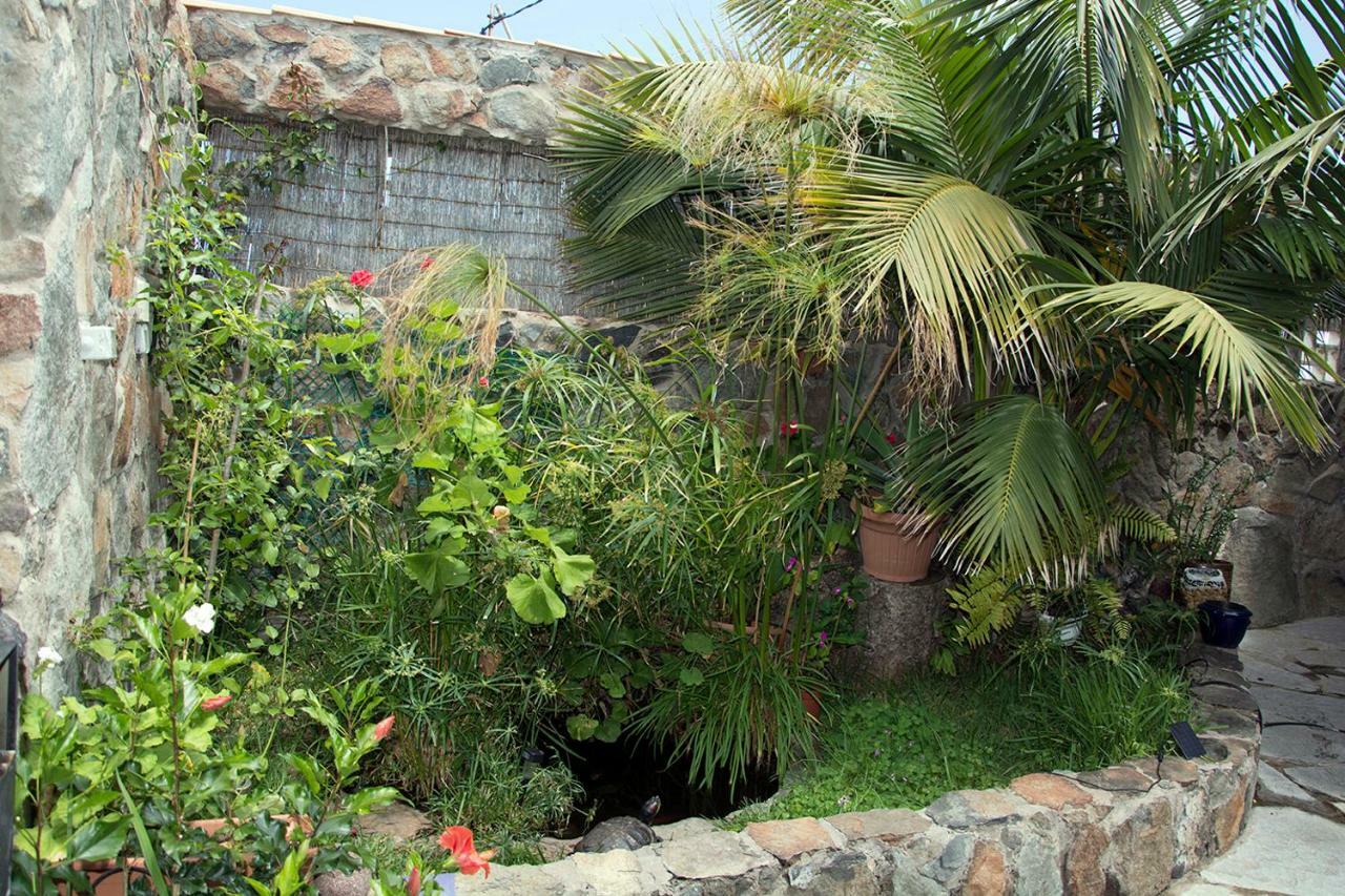 Casa El Drago-Tafira Baja Apartment ลาสปัลมาส เด กรานคานาเรีย ภายนอก รูปภาพ