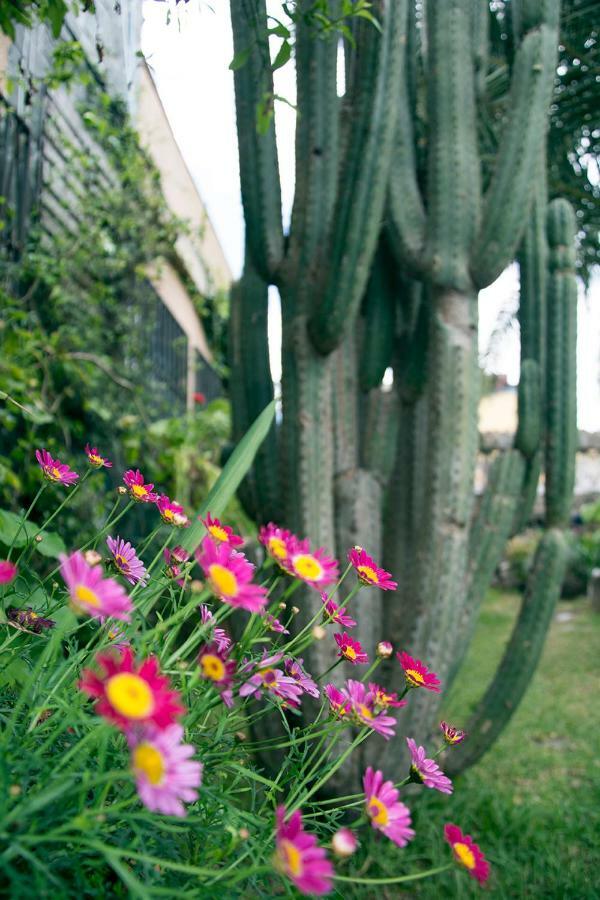 Casa El Drago-Tafira Baja Apartment ลาสปัลมาส เด กรานคานาเรีย ภายนอก รูปภาพ